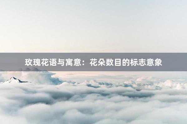 玫瑰花语与寓意：花朵数目的标志意象