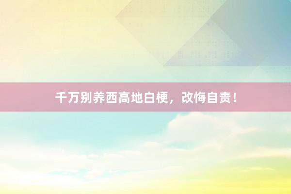 千万别养西高地白梗，改悔自责！