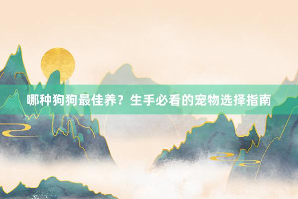 哪种狗狗最佳养？生手必看的宠物选择指南