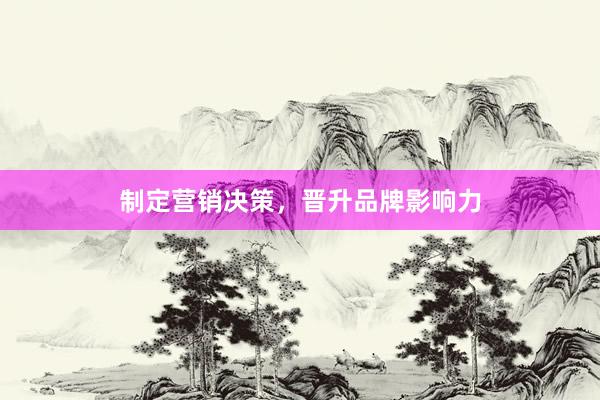 制定营销决策，晋升品牌影响力